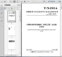 計(jì)算機(jī)信息系統(tǒng)集成服務(wù)及其企業(yè)能力評(píng)估